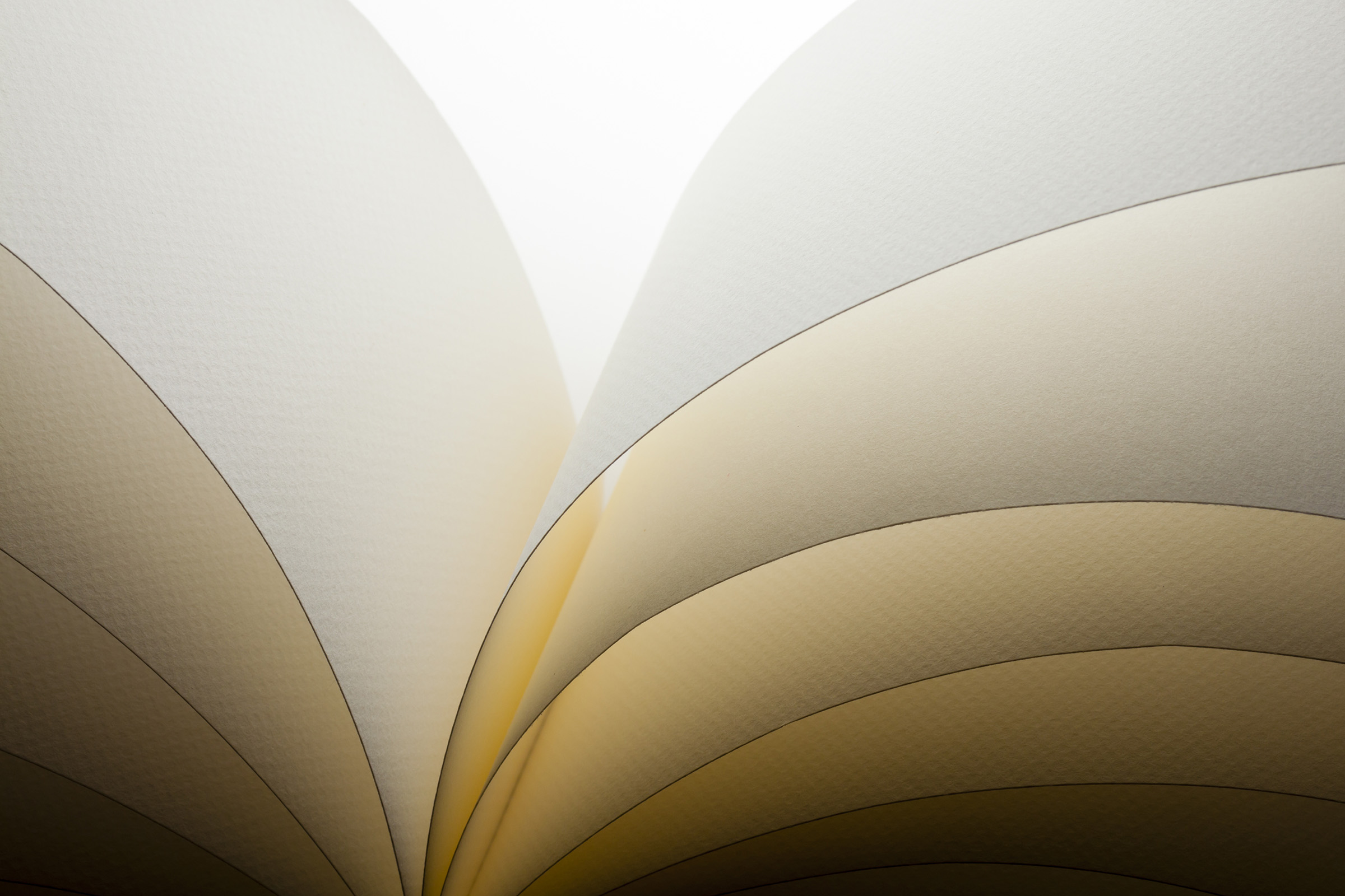 Lärosäten som motor för systeminnovation